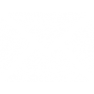 Icono email blanco 300x300